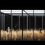 Janet McTeer and Akiya Henry stand far apart in a field of tall grasses, looking at each other.