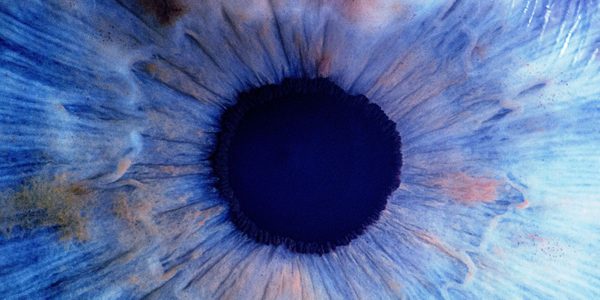 An Eye close up - 