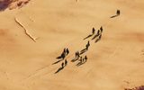 An aerial photo of 20 people walking across a large area of desert, with their shadows cast behind them.